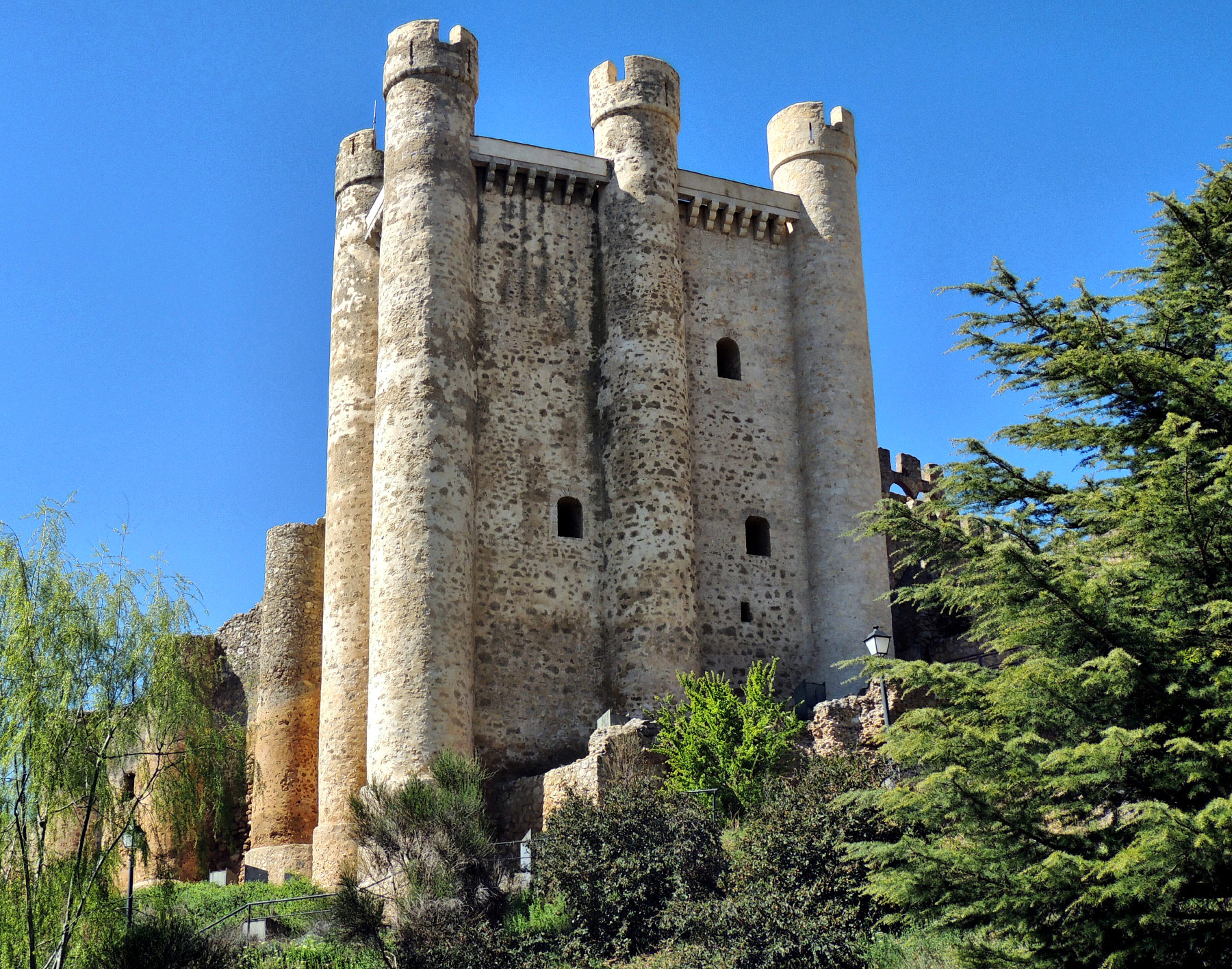 Castillo de Coyanza , Valencia de Don Juan